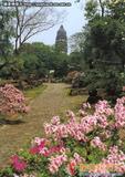 虎丘 The Tiger Hill