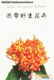 热带野生花卉 明信片