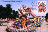 MC-37（56-1）汉族 Han Nationality