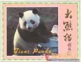 大熊猫 明信片 封面